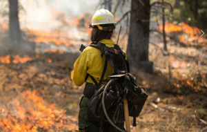 Hemet Firefighters Fight Fairview Blaze Riverside County