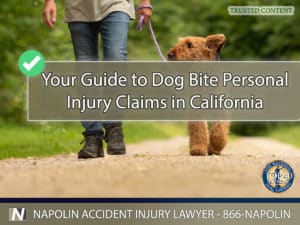 Your Guide to Dog Bite Personal Injury Claims in Ontario, California