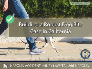 Building a Robust Dog Bite Case in Riverside, California