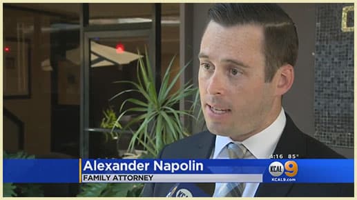 Alexander Napolin Kcal 9 Family Attorney