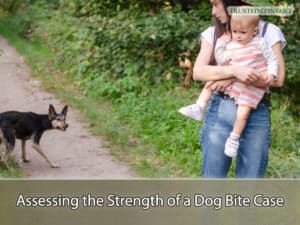 Assessing the Strength of a Dog Bite Case