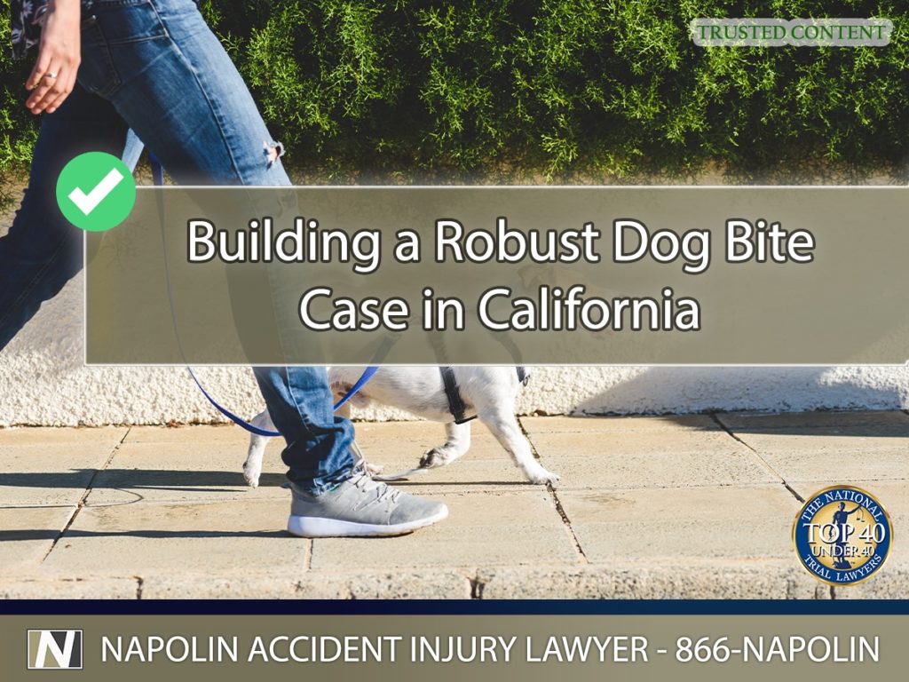 Building a Robust Dog Bite Case in California