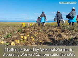 Challenges Faced by Seasonal Workers in Accessing Workers' Compensation Benefits