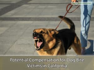 Potential Compensation for Dog Bite Victims in California